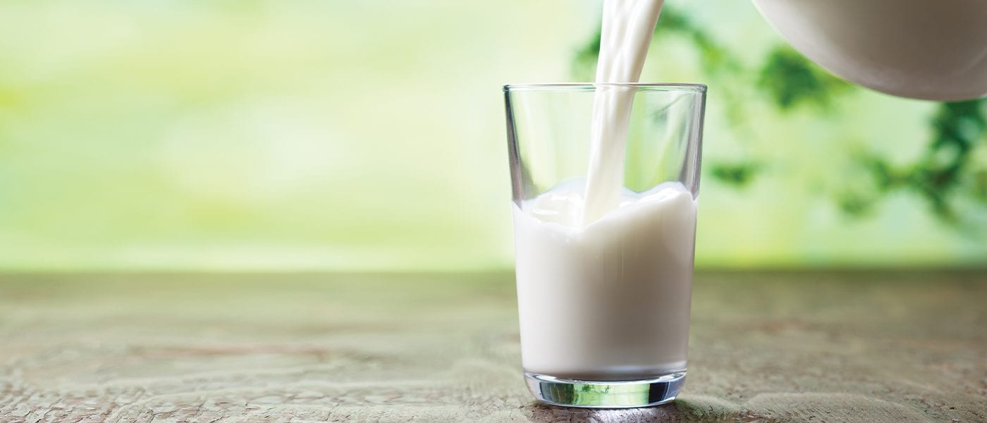 Wholesome Farms Sysco Foodie