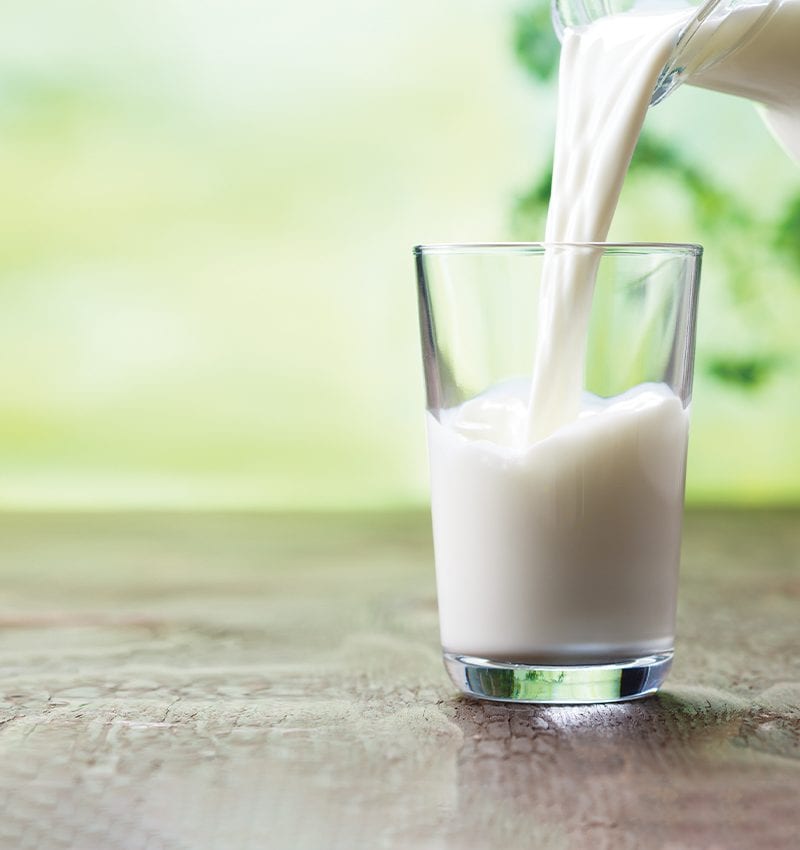 Wholesome Farms Sysco Foodie