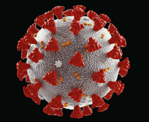 coronavirus magnafied image