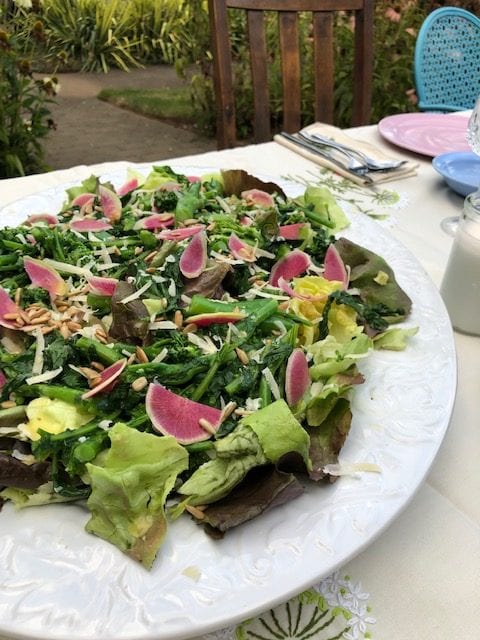 Lettuce Salad plate made by Chef Abby McBride