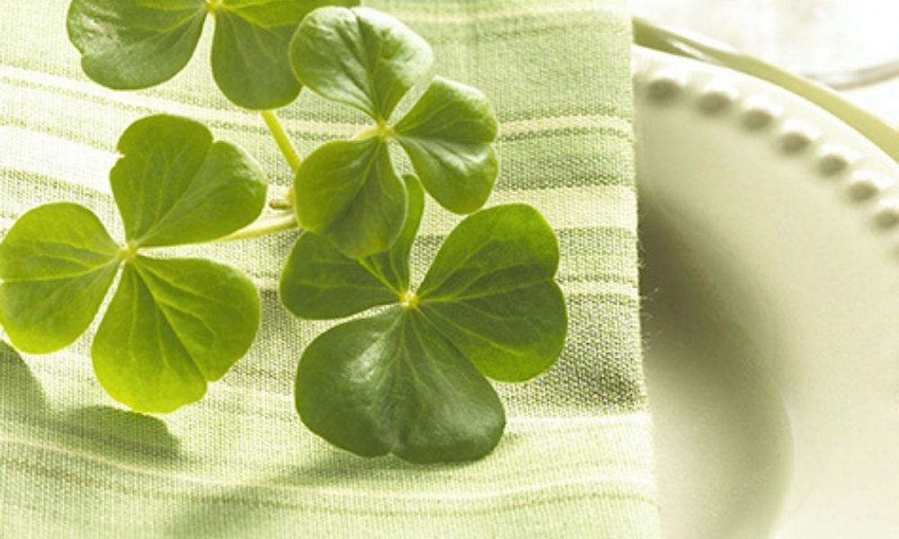 St Patrick day