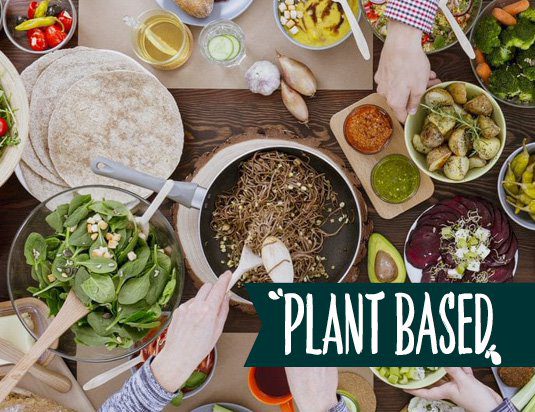Plant based meal creation