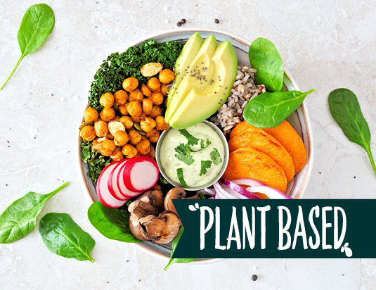 Plant based healthy food
